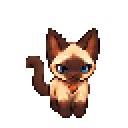 Earth Siamese Cat, a rare earth summon